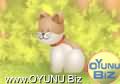 Domestic
Animal play games