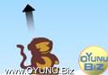Balloon exploding monkey
4 play games
