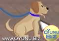 Dog
educator play games