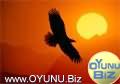 Flying
bird play games